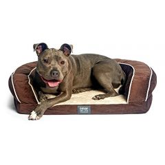 Cesar Millan Ortho Bliss Dog Bed